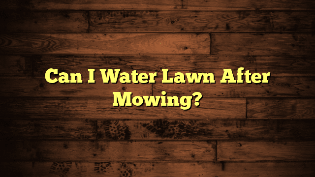 Can I Water Lawn After Mowing?
