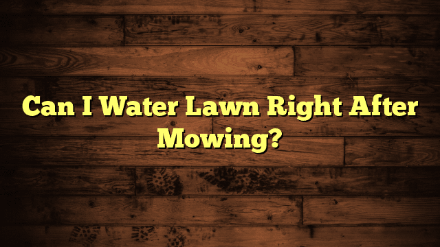 Can I Water Lawn Right After Mowing?