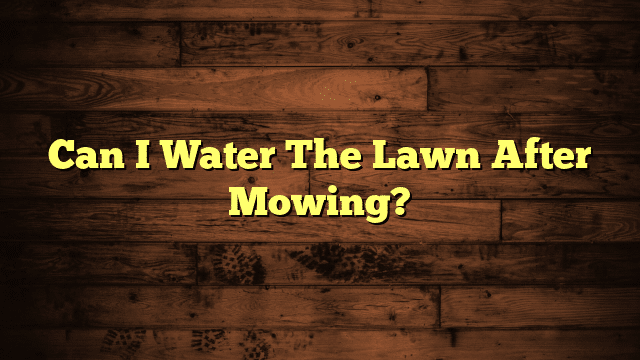 Can I Water The Lawn After Mowing?