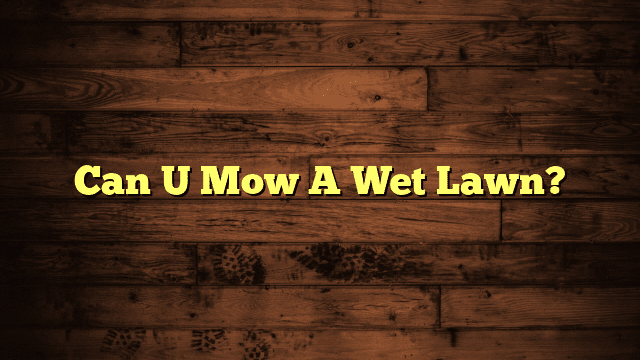 Can U Mow A Wet Lawn?