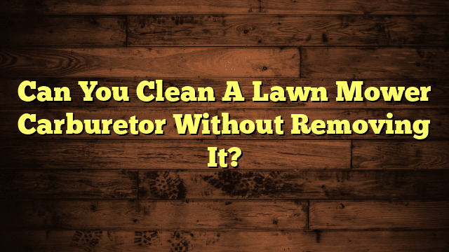 Can You Clean A Lawn Mower Carburetor Without Removing It?