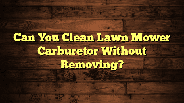 Can You Clean Lawn Mower Carburetor Without Removing?