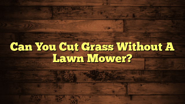 Can You Cut Grass Without A Lawn Mower?