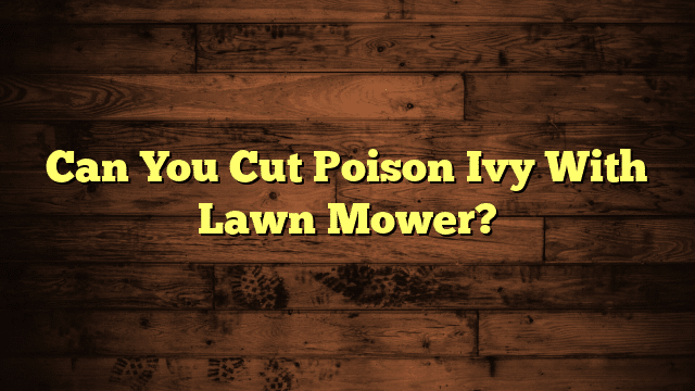 Can You Cut Poison Ivy With Lawn Mower?