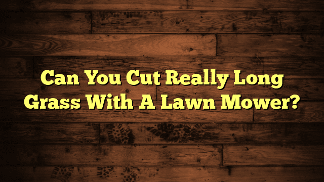 Can You Cut Really Long Grass With A Lawn Mower?