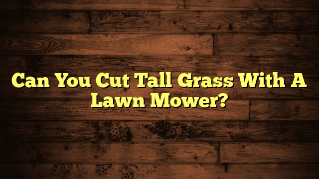 Can You Cut Tall Grass With A Lawn Mower?
