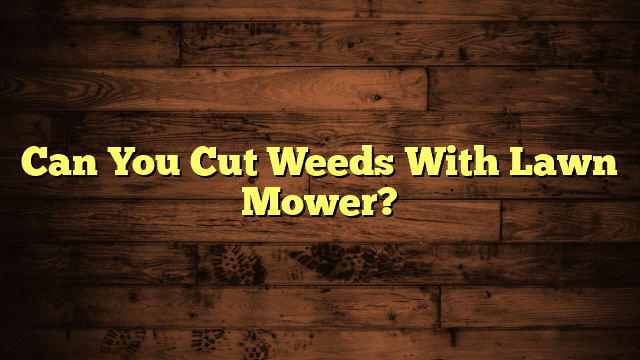 Can You Cut Weeds With Lawn Mower?