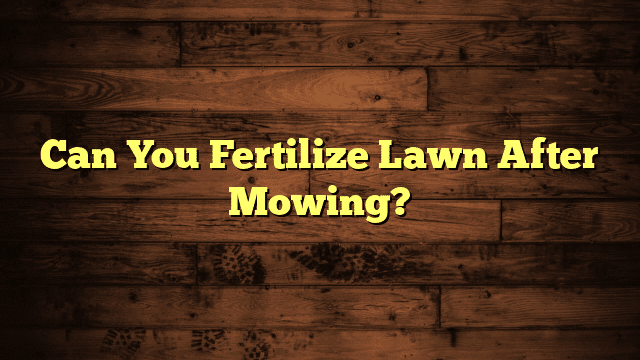 Can You Fertilize Lawn After Mowing?