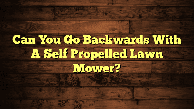 Can You Go Backwards With A Self Propelled Lawn Mower?