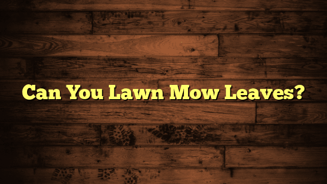 Can You Lawn Mow Leaves?