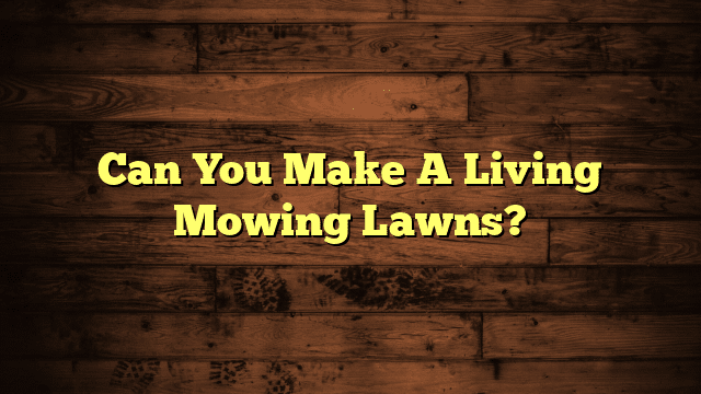 Can You Make A Living Mowing Lawns?