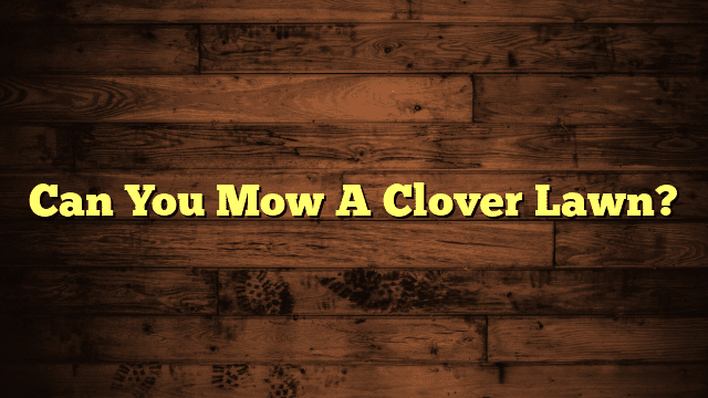 Can You Mow A Clover Lawn?