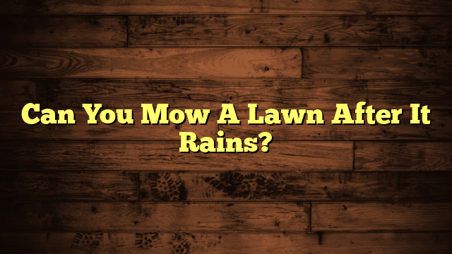 Can You Mow A Lawn After It Rains?