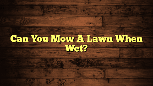 Can You Mow A Lawn When Wet?