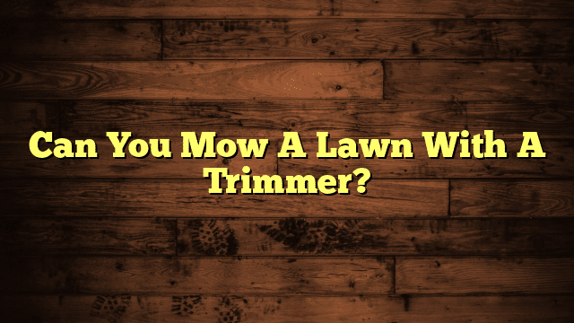 Can You Mow A Lawn With A Trimmer?