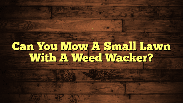Can You Mow A Small Lawn With A Weed Wacker?