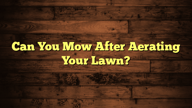Can You Mow After Aerating Your Lawn?