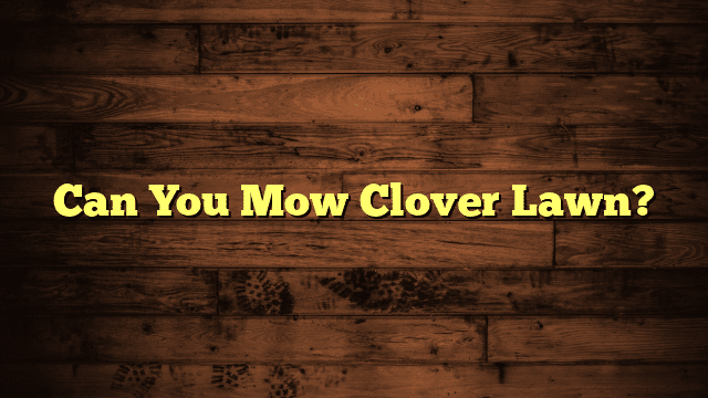 Can You Mow Clover Lawn?