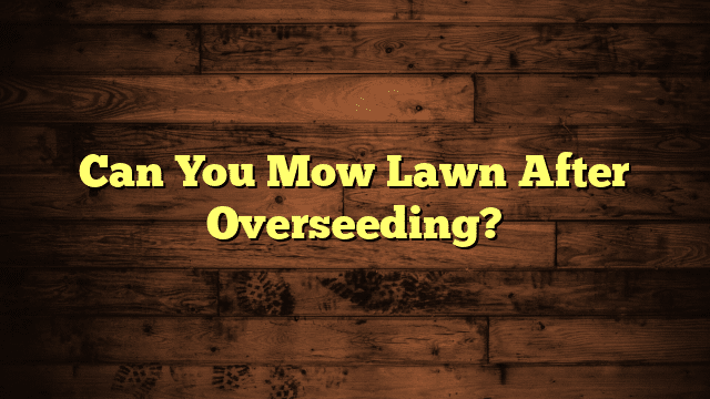 Can You Mow Lawn After Overseeding?