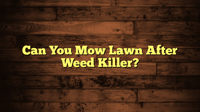 Can You Mow Lawn After Weed Killer?