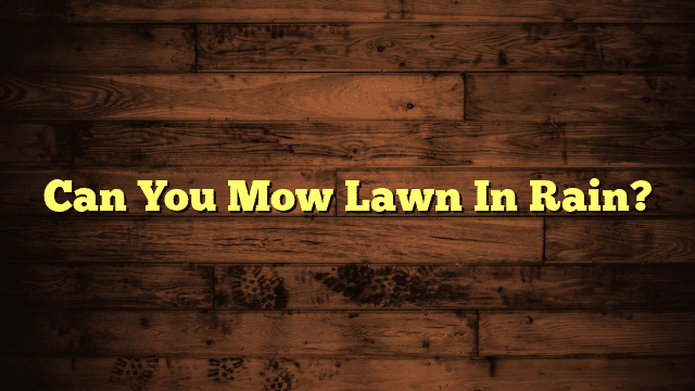 Can You Mow Lawn In Rain?