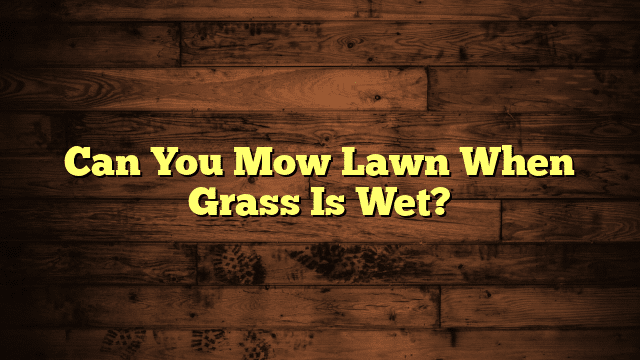 Can You Mow Lawn When Grass Is Wet?