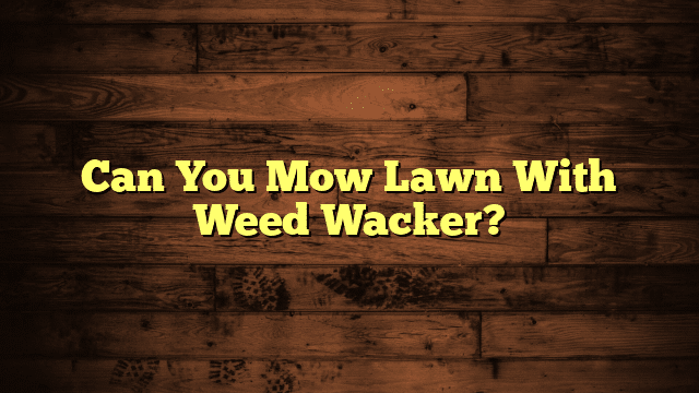Can You Mow Lawn With Weed Wacker?
