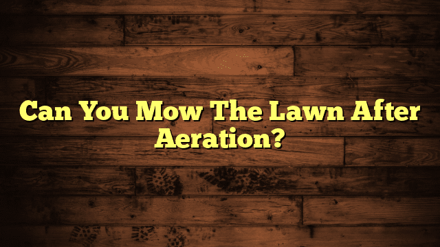 Can You Mow The Lawn After Aeration?