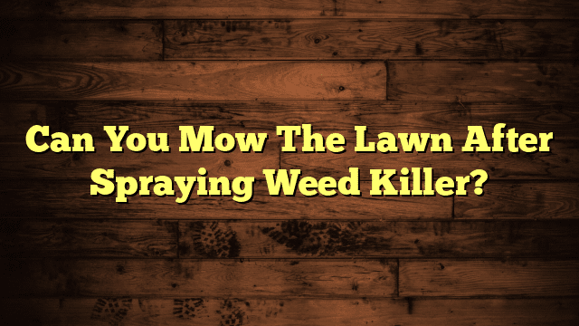 Can You Mow The Lawn After Spraying Weed Killer?