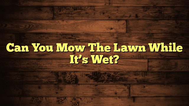 Can You Mow The Lawn While It’s Wet?