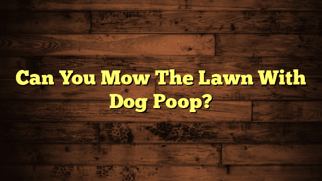 Can You Mow The Lawn With Dog Poop?