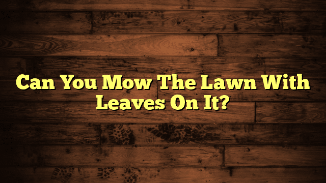 Can You Mow The Lawn With Leaves On It?