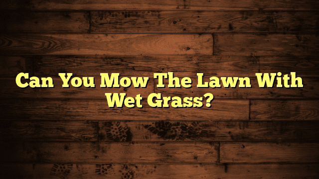 Can You Mow The Lawn With Wet Grass?