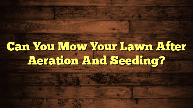 Can You Mow Your Lawn After Aeration And Seeding?