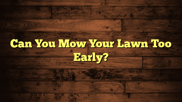 Can You Mow Your Lawn Too Early?