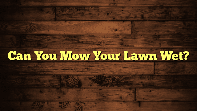 Can You Mow Your Lawn Wet?