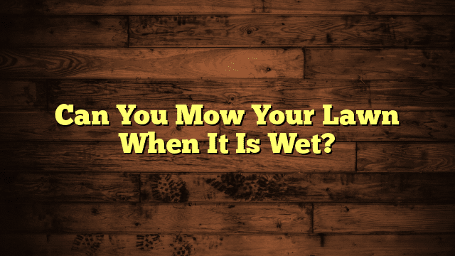Can You Mow Your Lawn When It Is Wet?