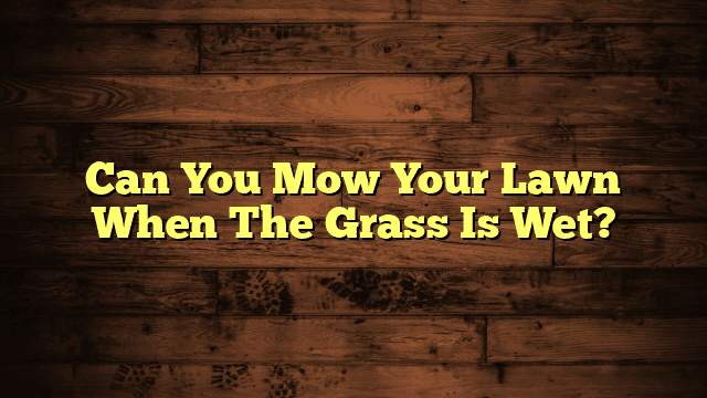 Can You Mow Your Lawn When The Grass Is Wet?