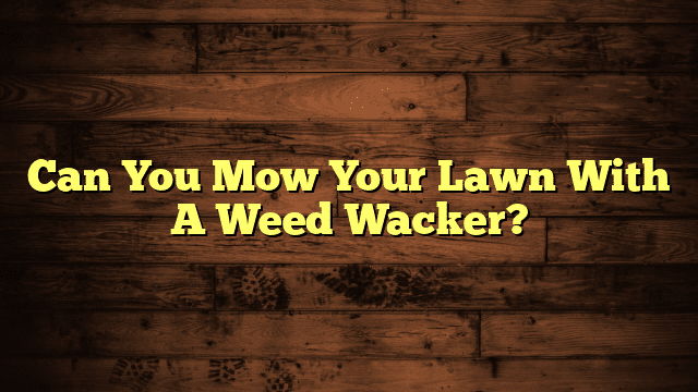 Can You Mow Your Lawn With A Weed Wacker?