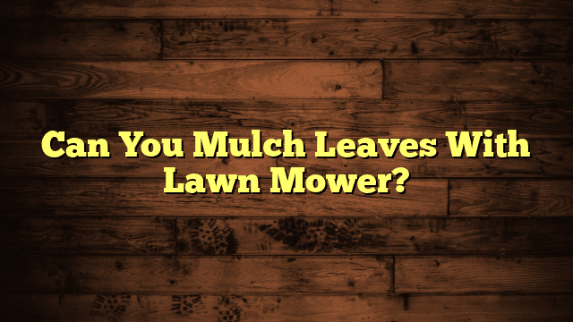 Can You Mulch Leaves With Lawn Mower?