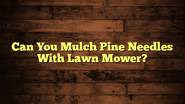 Can You Mulch Pine Needles With Lawn Mower?