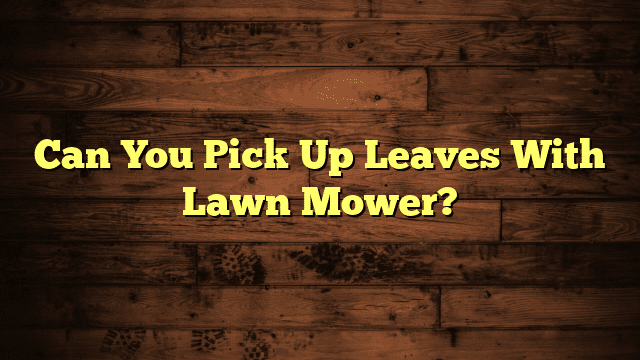 Can You Pick Up Leaves With Lawn Mower?