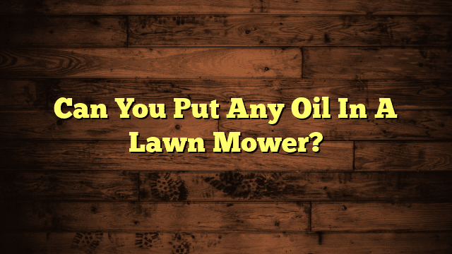 Can You Put Any Oil In A Lawn Mower?