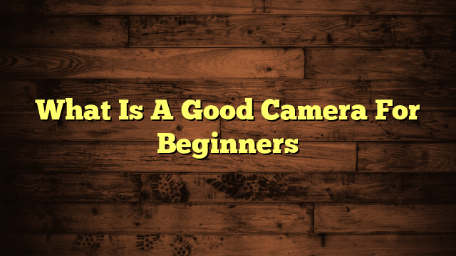 What Is A Good Camera For Beginners