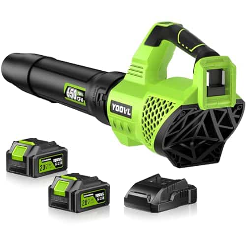 best leaf blower for snow removal
