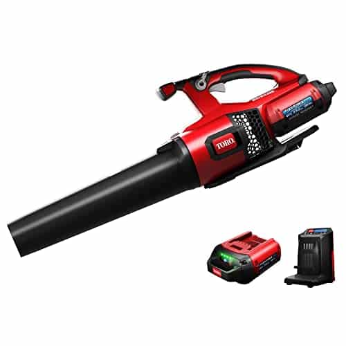 best snow blower toro