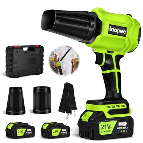 best leaf snow blower