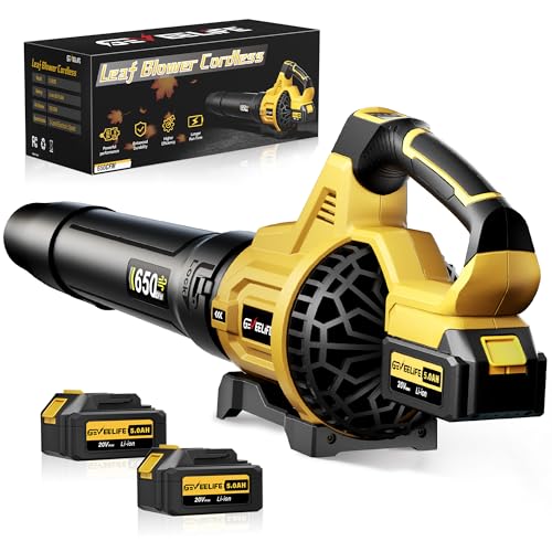 best leaf blower for snow