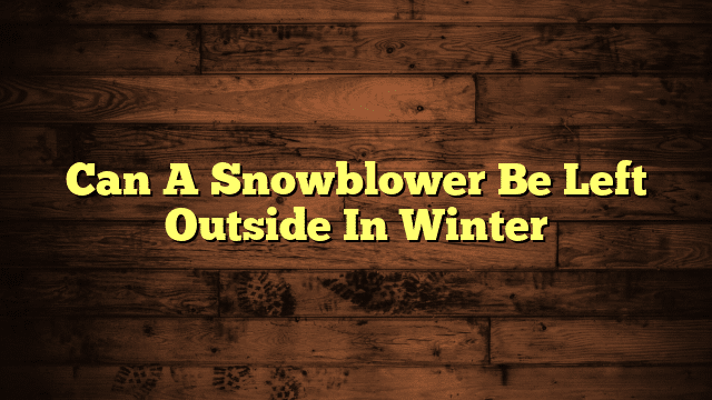 Can A Snowblower Be Left Outside In Winter