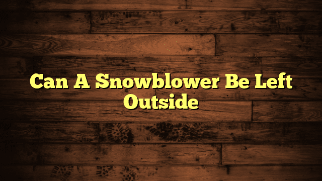 Can A Snowblower Be Left Outside
